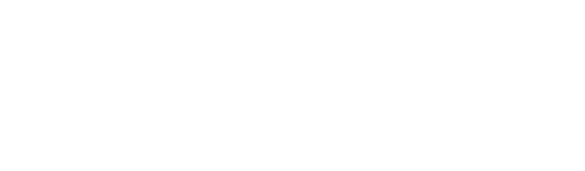 LET´S BE COPS – DIE PARTY BULLEN