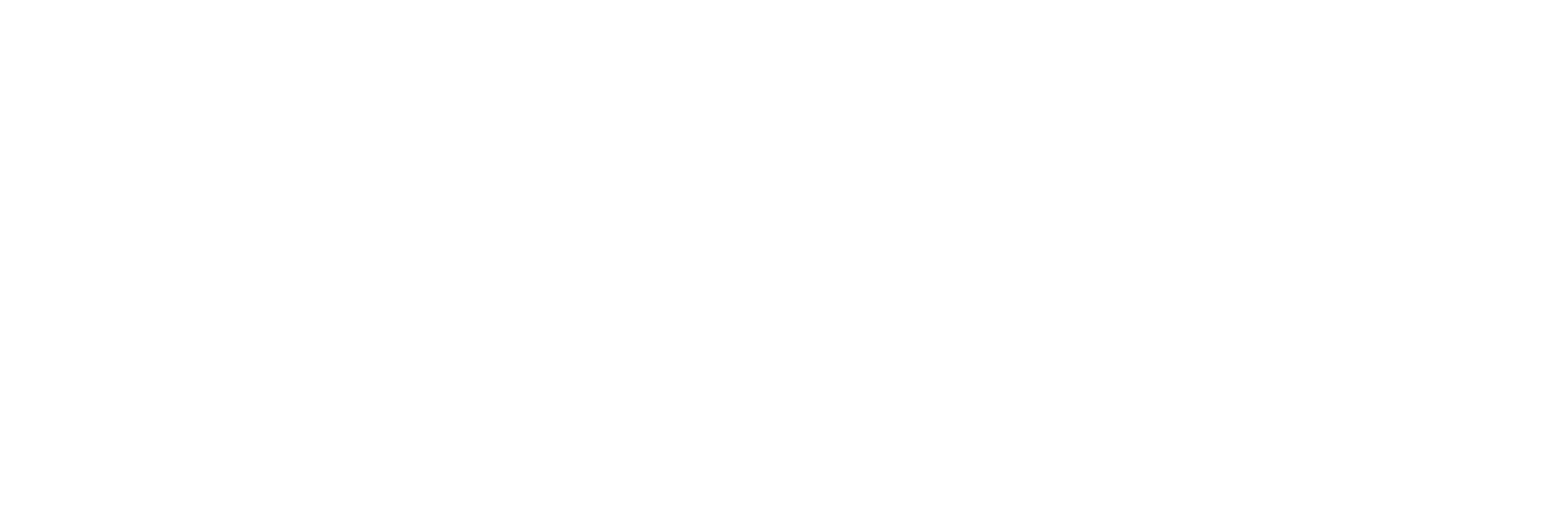 迪士尼乐园开幕前报告