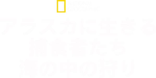 アラスカに生きる捕食者たち
