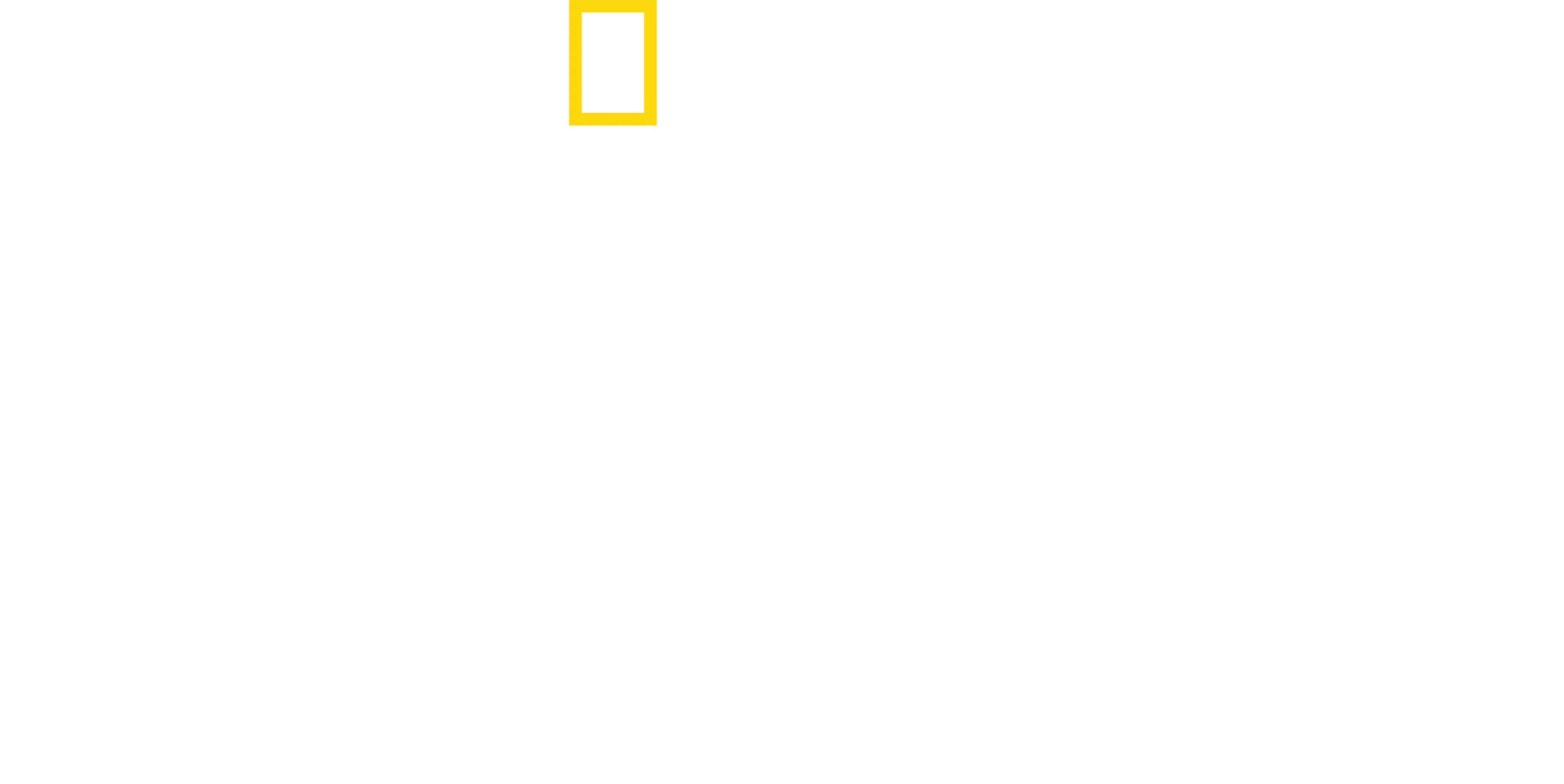 アラスカに生きる捕食者たち