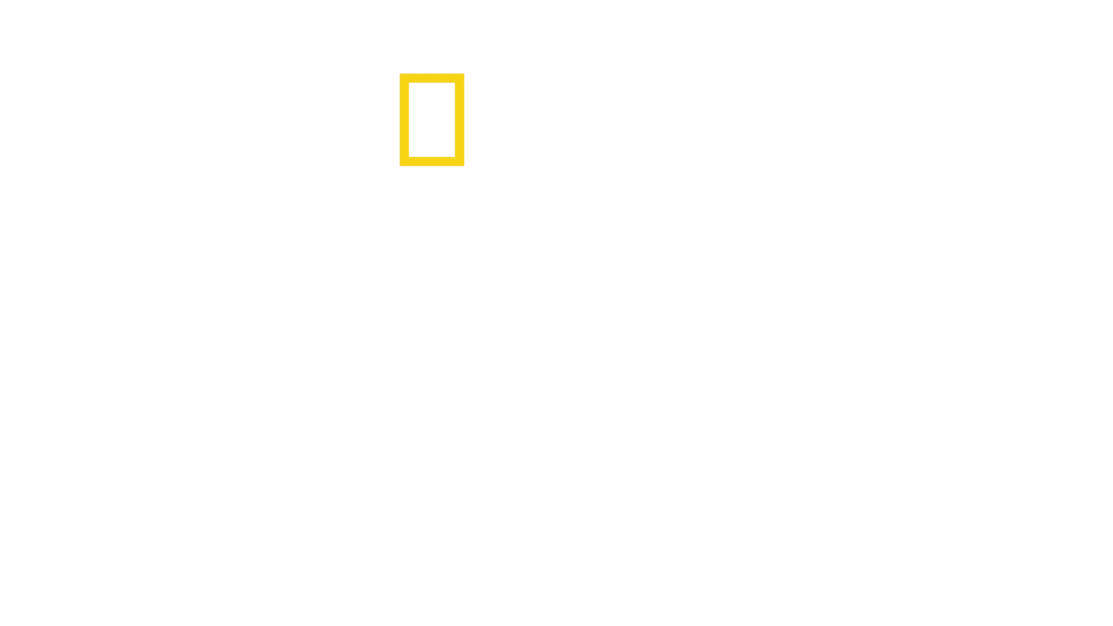 Os Segredos dos Polvos
