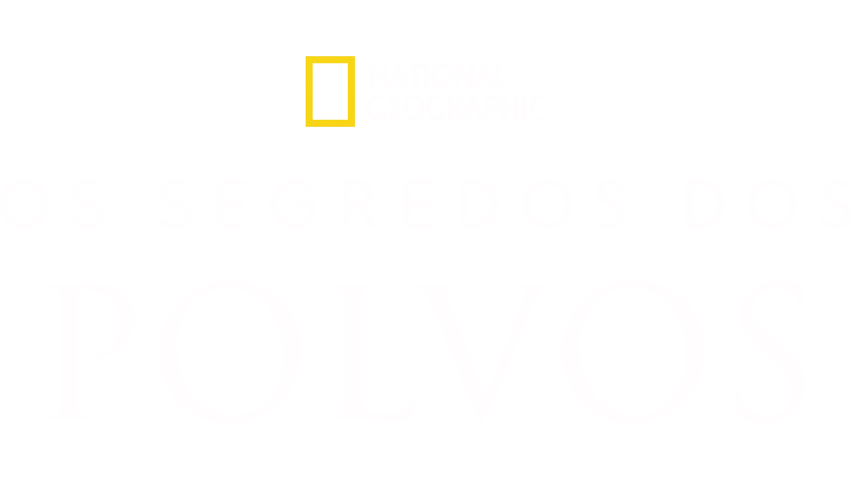 Os Segredos dos Polvos
