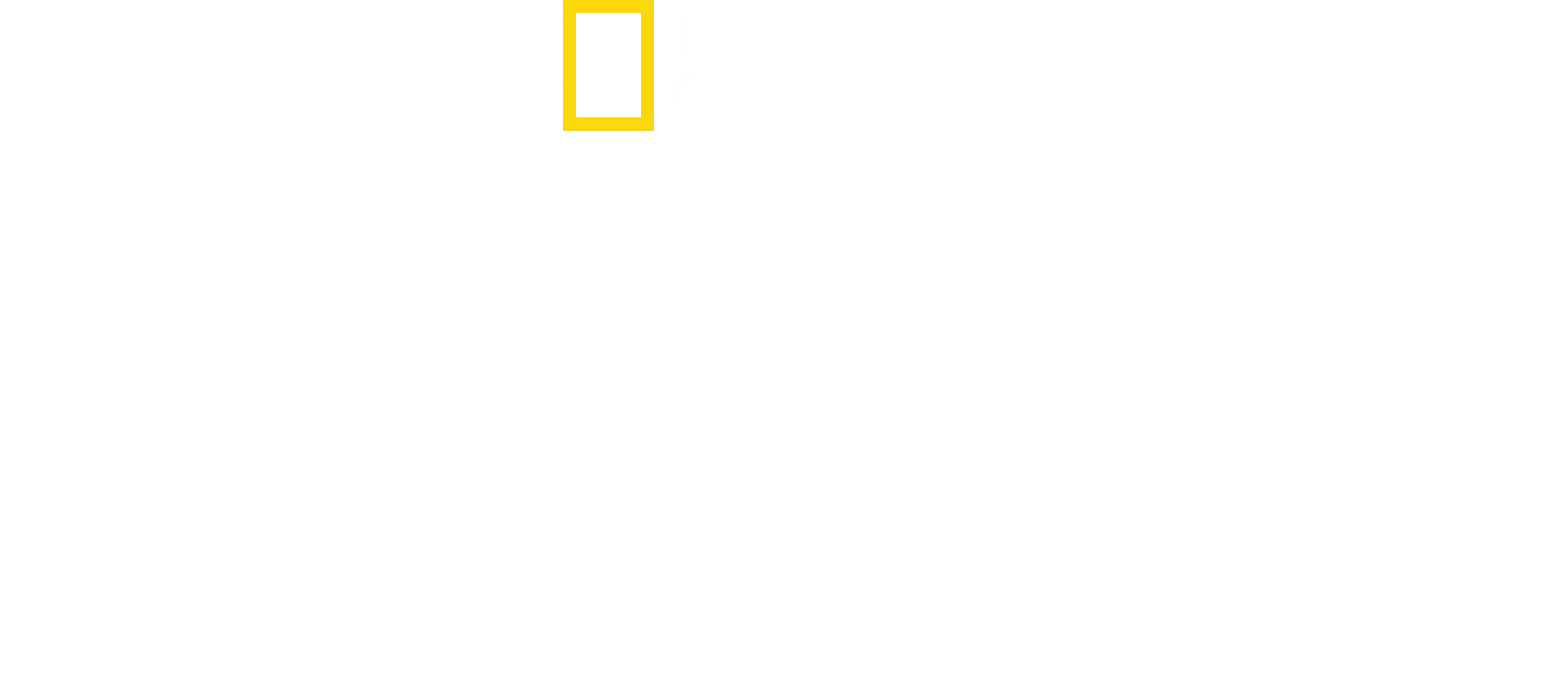 Os Segredos dos Polvos