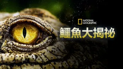 鱷魚大揭祕