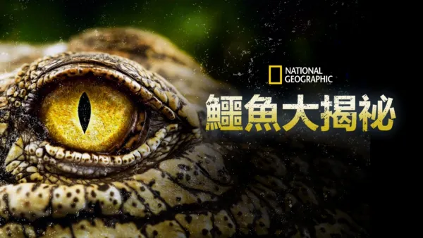 thumbnail - 鱷魚大揭祕