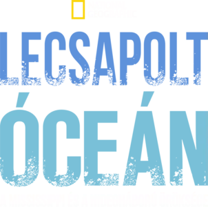Lecsapolt óceán: A Mississippi és a hidegháború öröksége