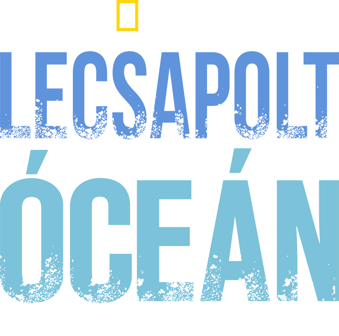 Lecsapolt óceán: A Mississippi és a hidegháború öröksége