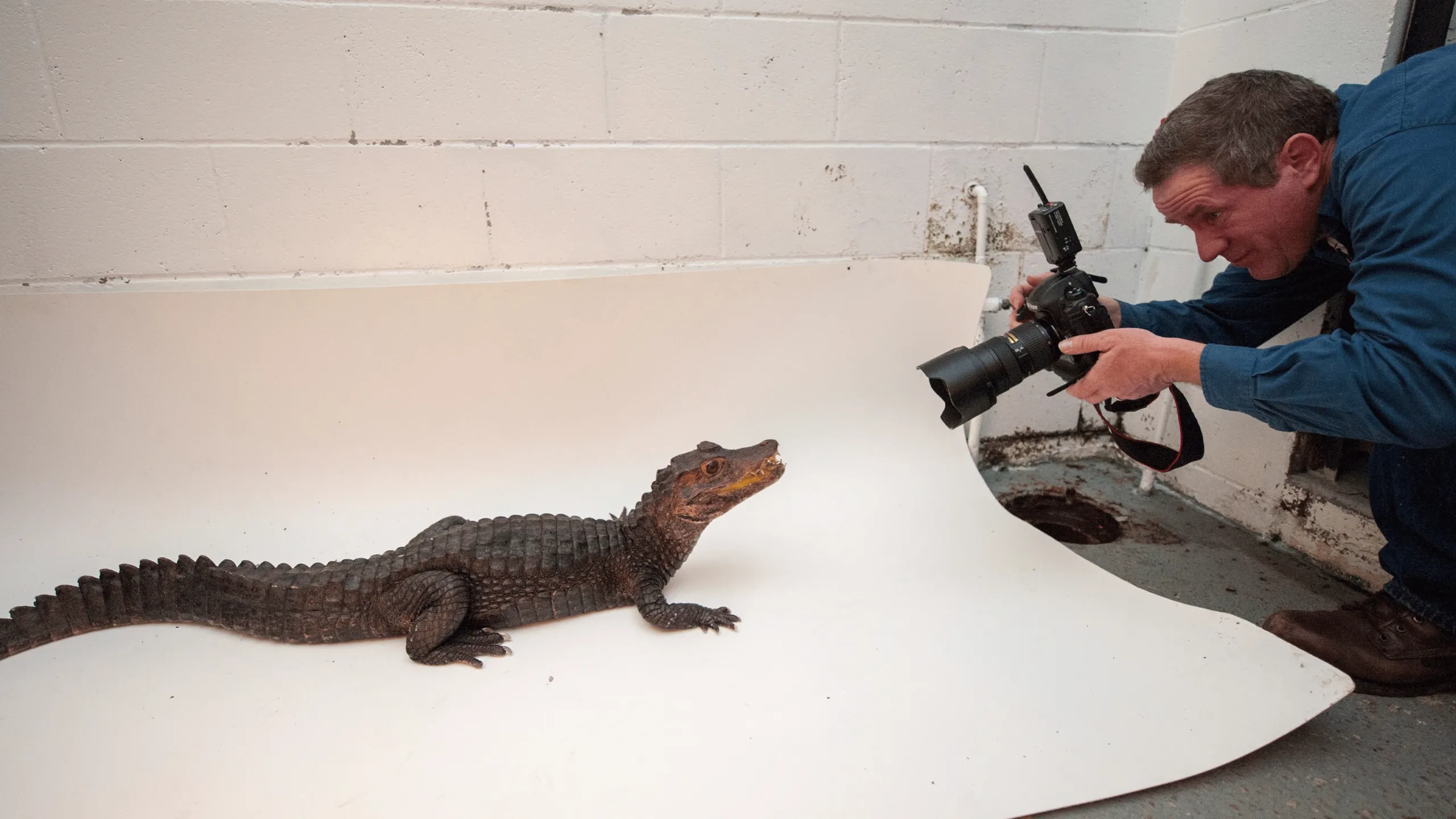 thumbnail - S1:E16 Wildlife Photographer: Joel Sartore
