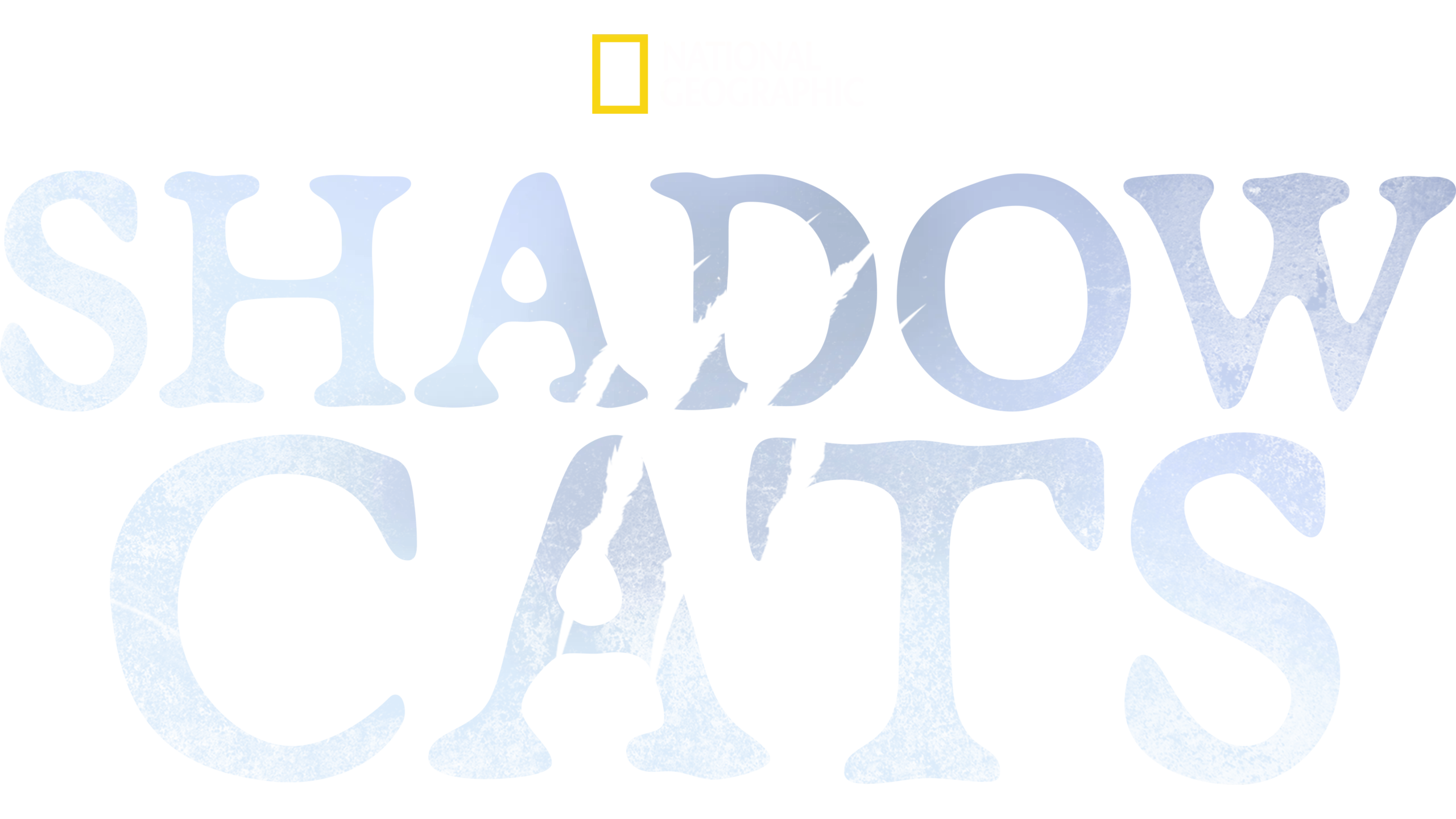 Shadow Cats