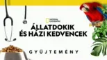 thumbnail - Állatdokik és házi kedvencek