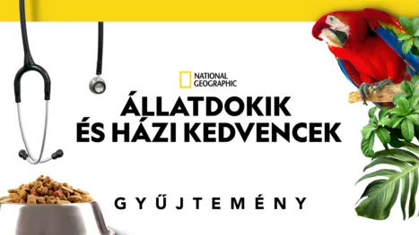 thumbnail - Állatdokik és házi kedvencek