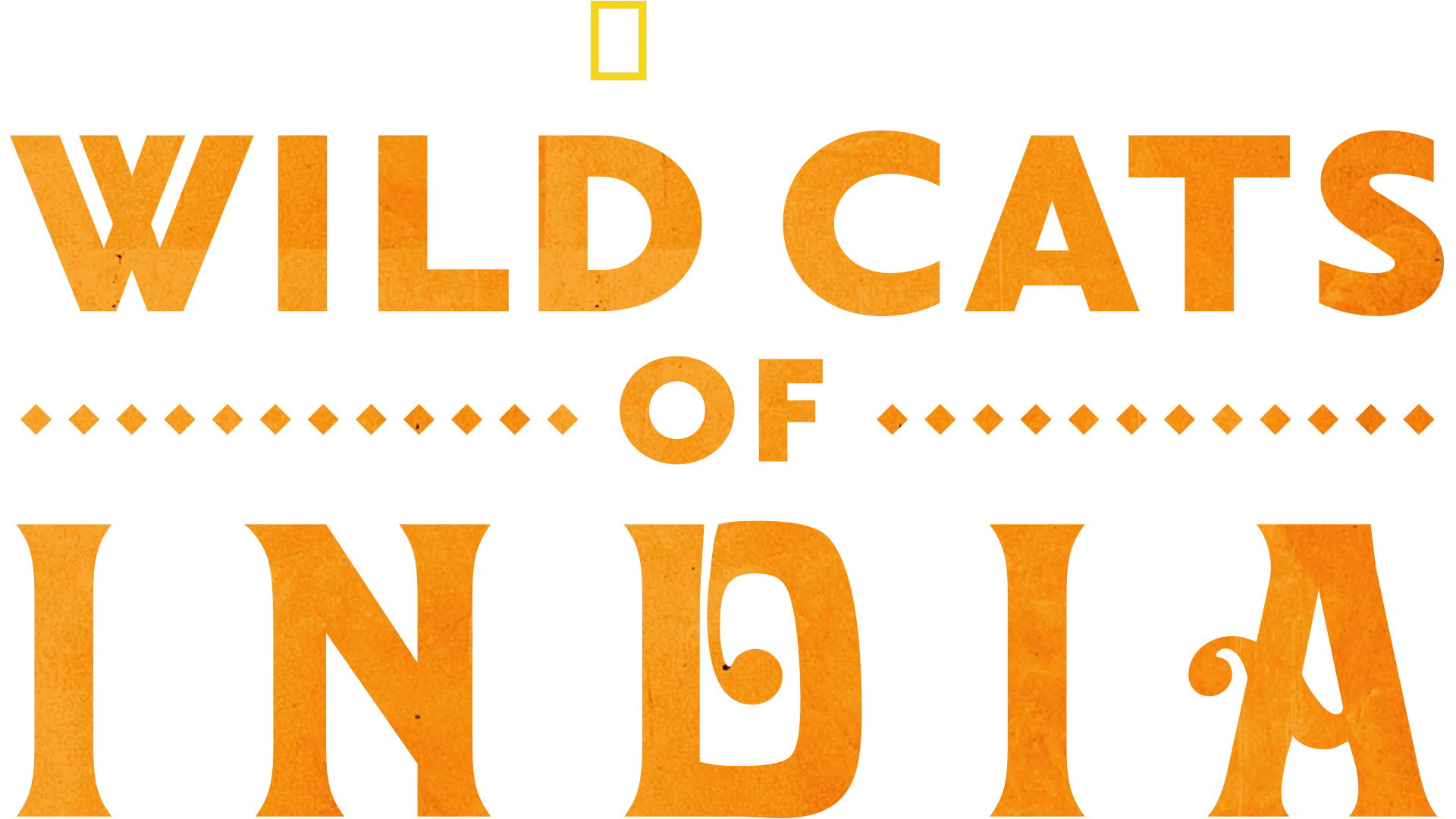 Wild Cats of India