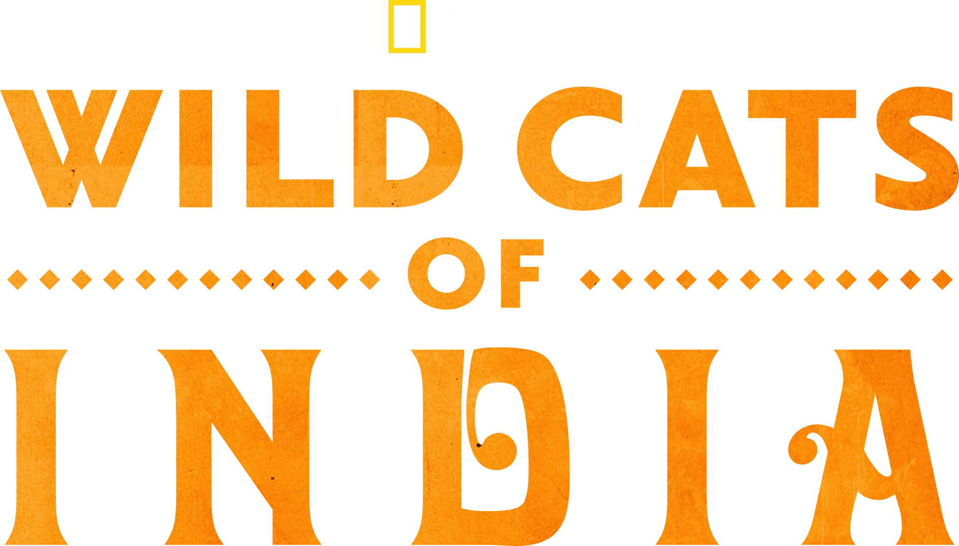 Wild Cats of India
