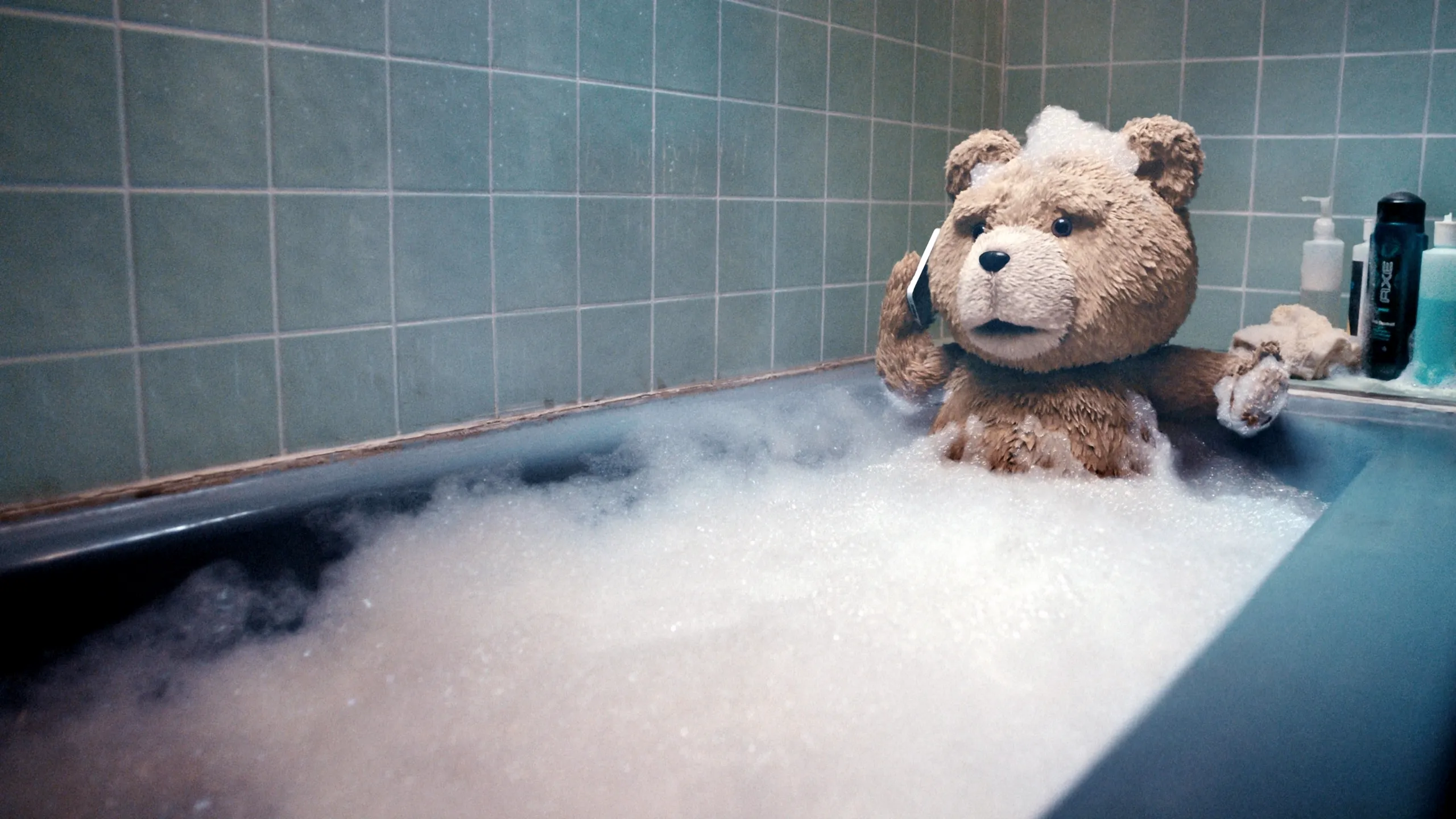 Ted
