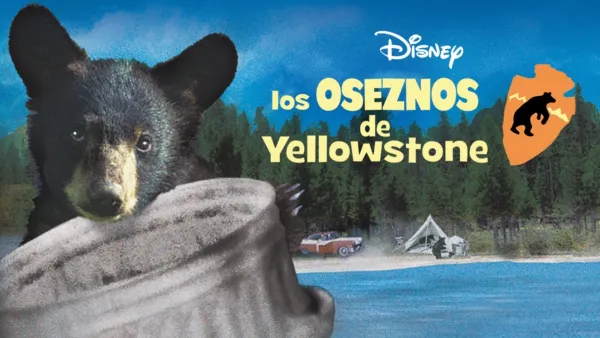 thumbnail - Los oseznos de Yellowstone