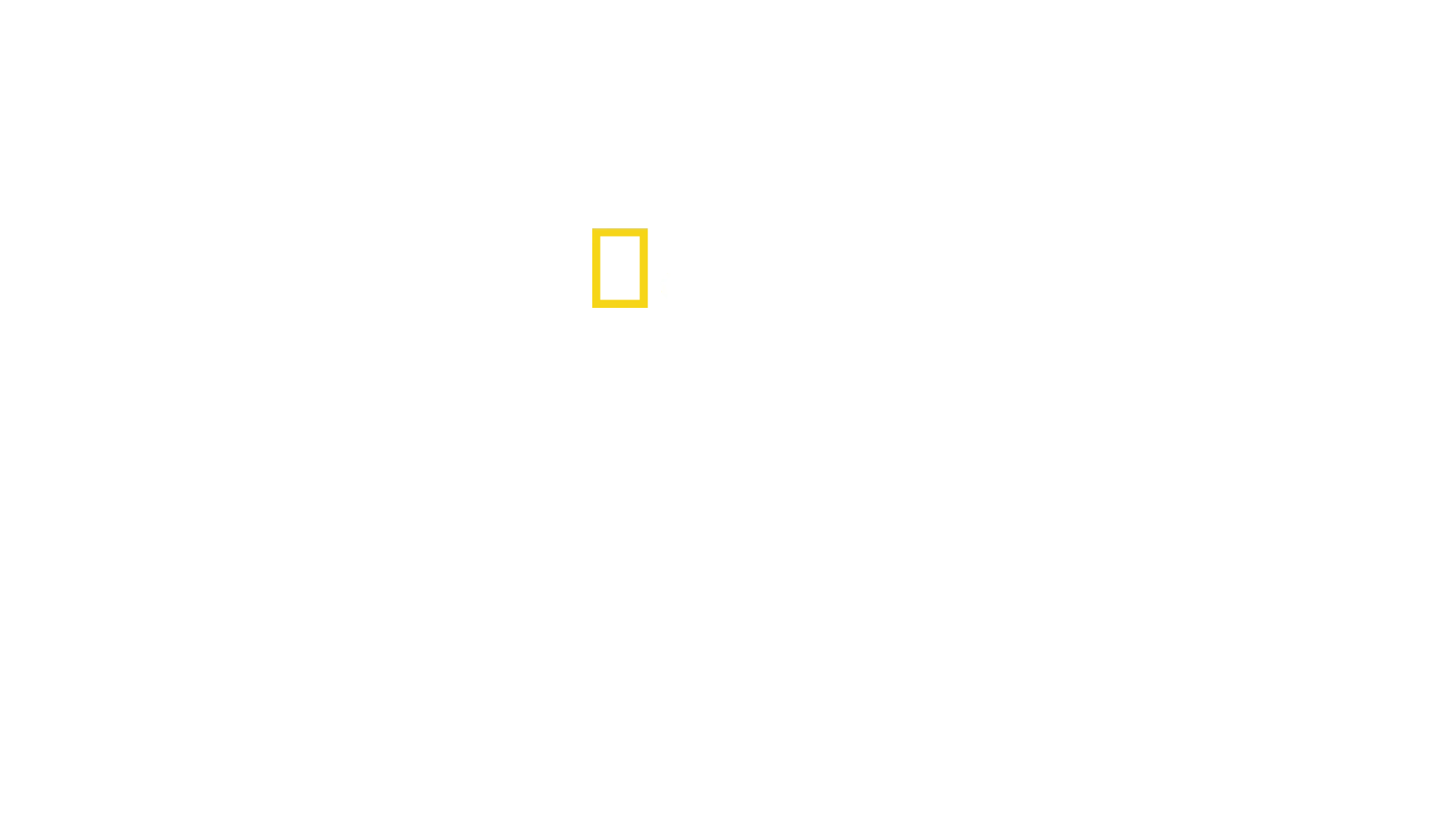 The Nightcrawlers