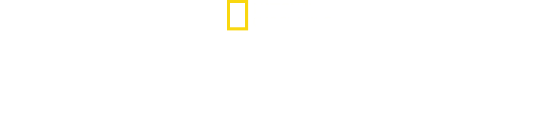 The Nightcrawlers