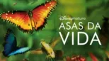 thumbnail - Asas da Vida