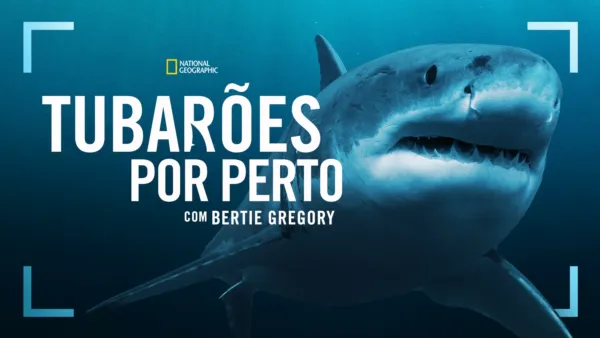 thumbnail - Tubarões de perto com Bertie Gregory