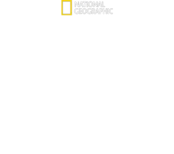 Requins stars