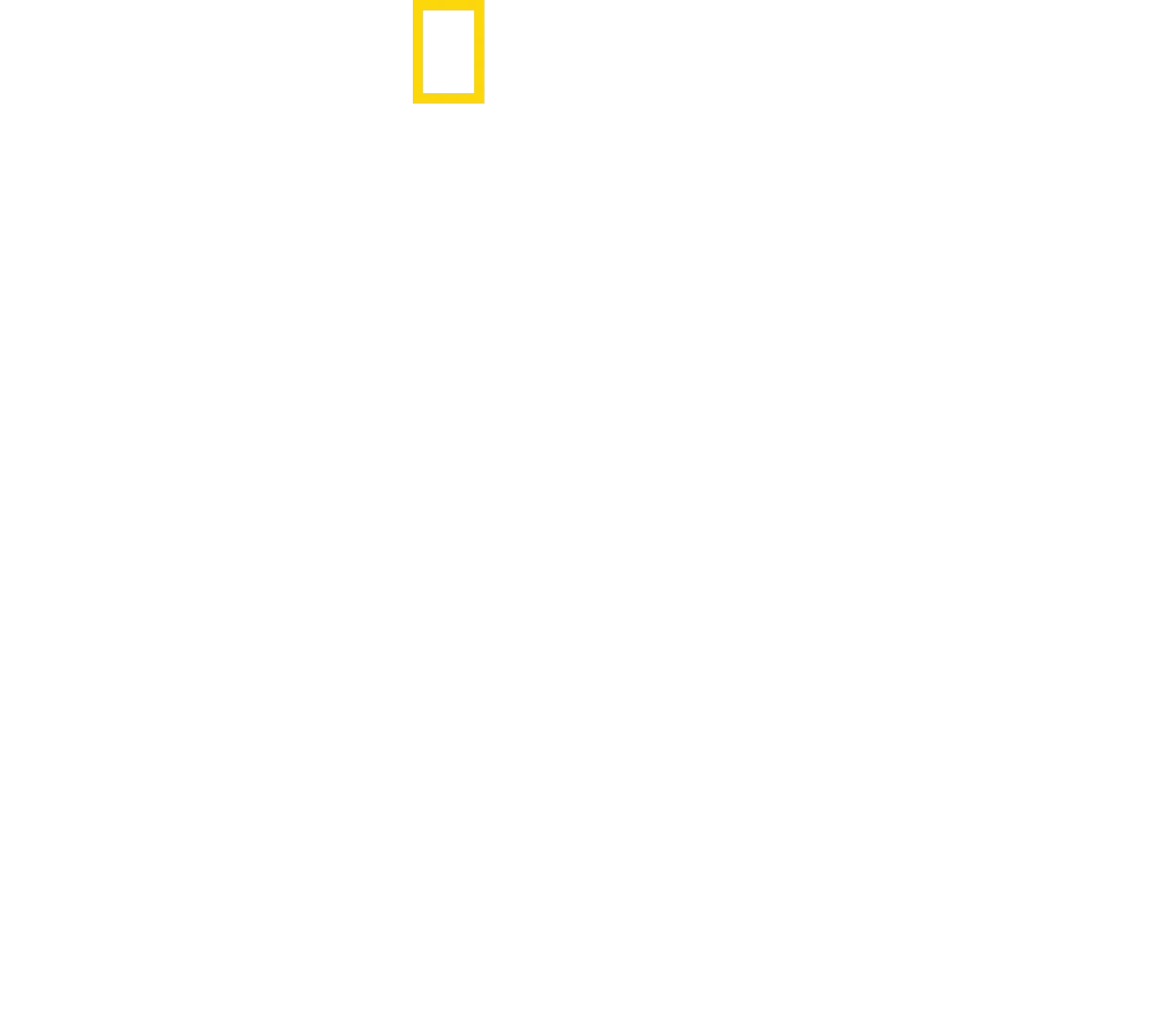 Requins stars
