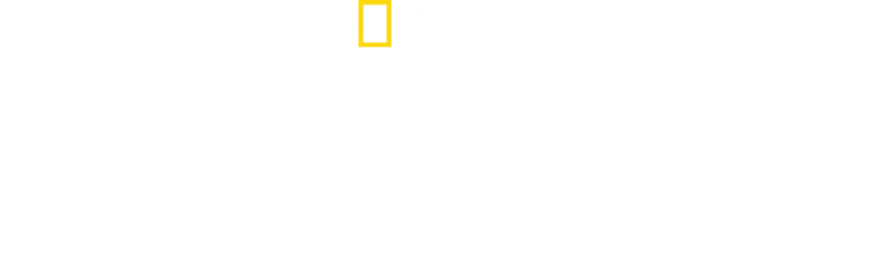 Escalar o Ártico com Alex Honnold
