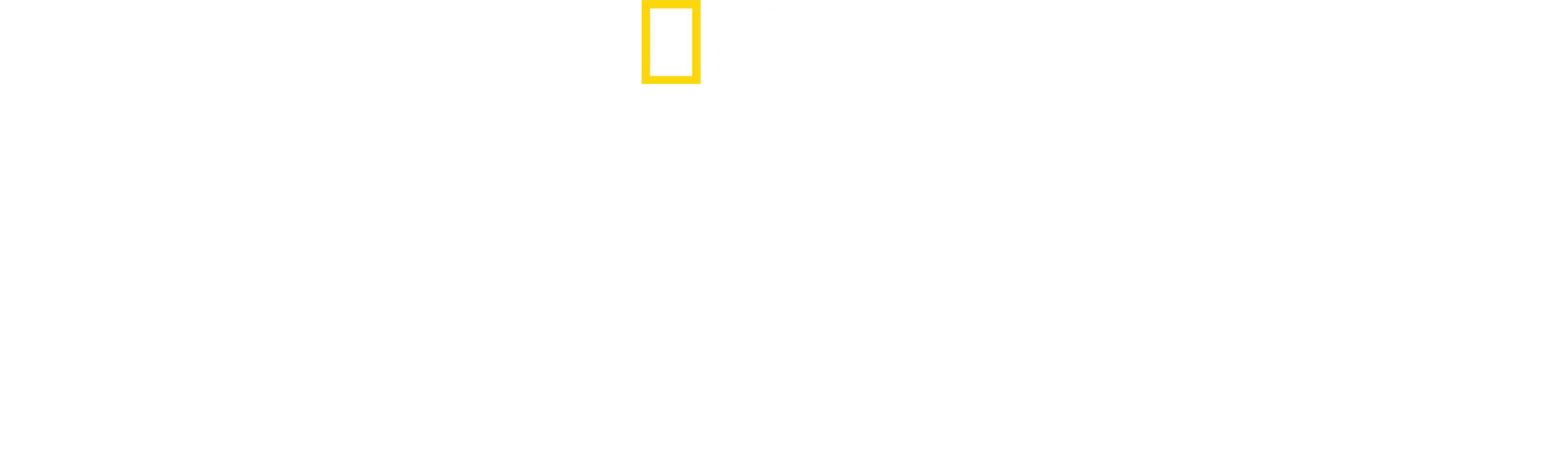 Escalar o Ártico com Alex Honnold