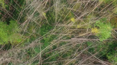 thumbnail - S4:E10 Worm in the Sky, Skeletal Mystery Remains and Thessaloniki Mystery Sounds