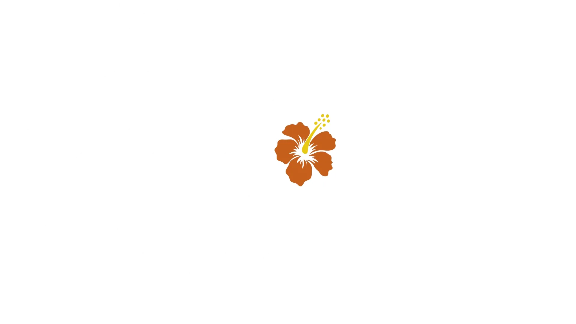 Doctorul Doogie Kamealoha