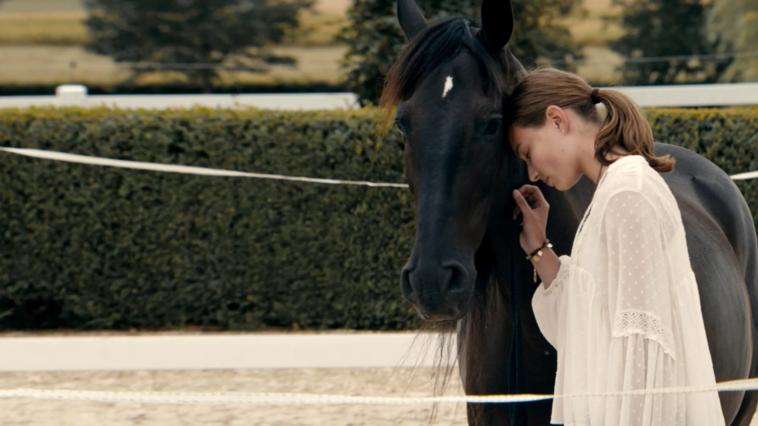 Immenhof - Das Abenteuer eines Sommers