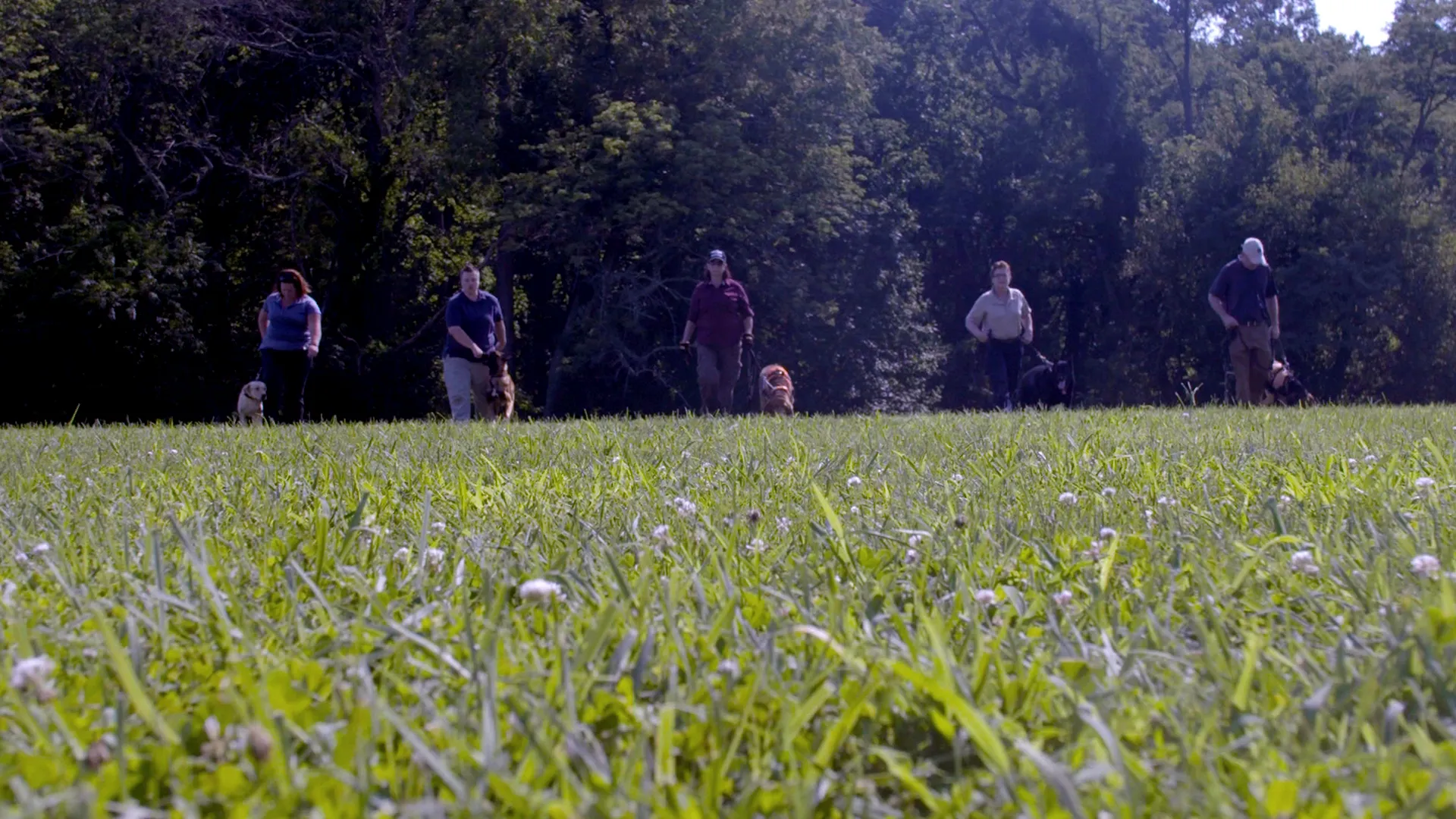 thumbnail - S1:E3 Lost in the Woods