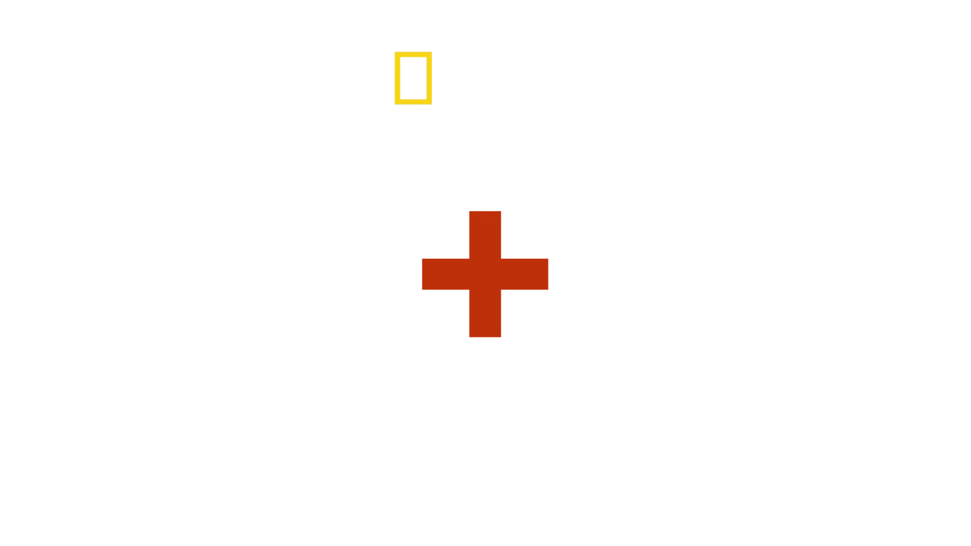 Love+War: Lynsey Addario the photographer