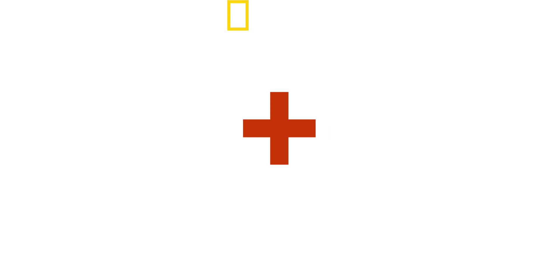 Love+War: Lynsey Addario the photographer