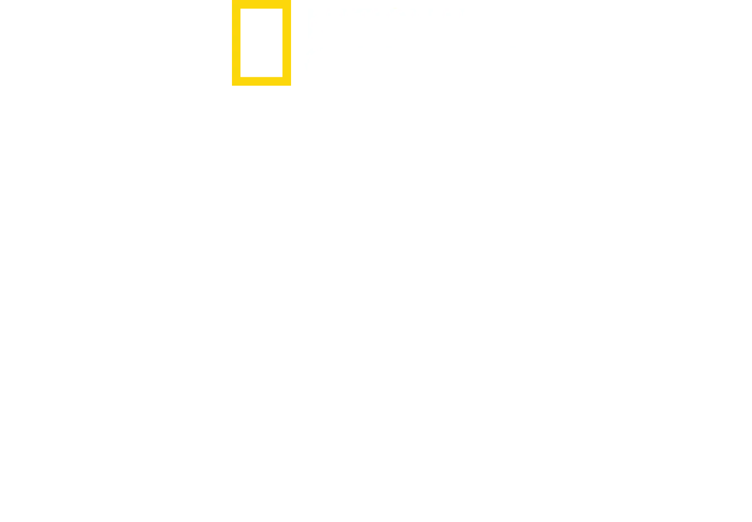 Civiltà perdute con Albert Lin