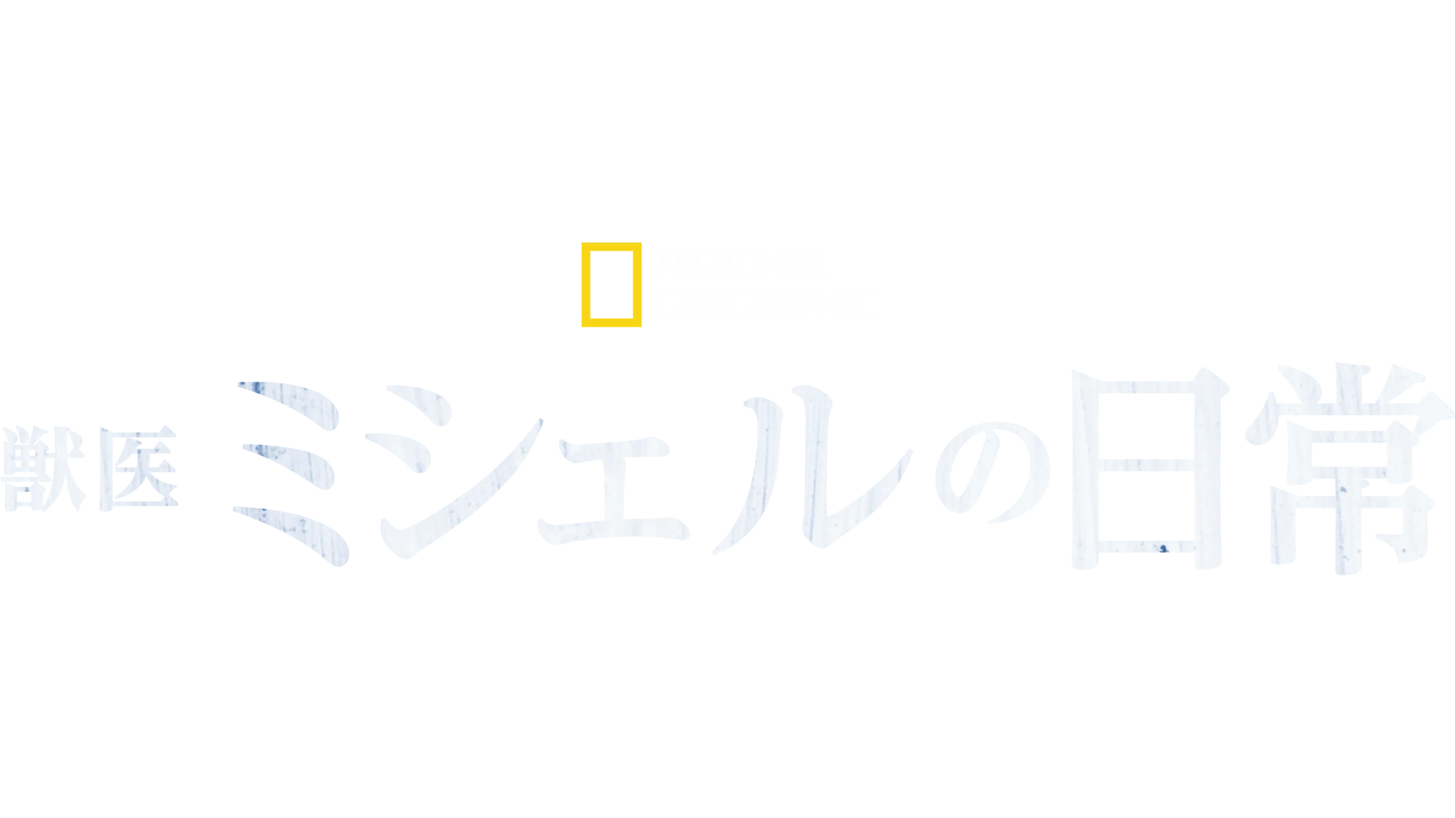 獣医ミシェルの日常