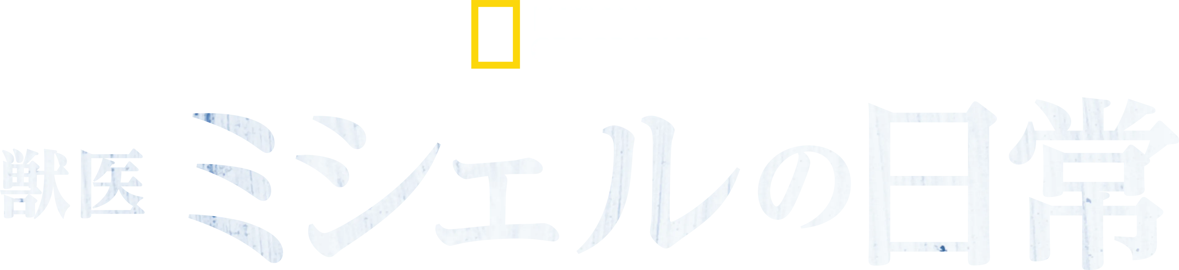獣医ミシェルの日常