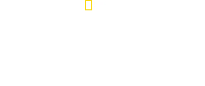 Den lille kjempen