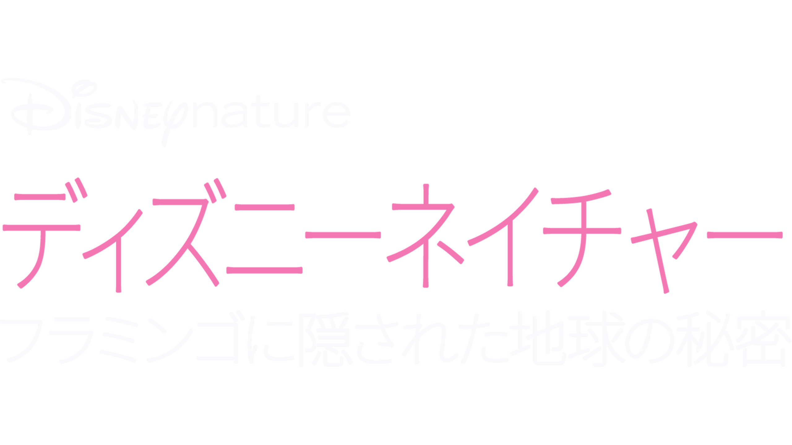 フラミンゴに隠された地球の秘密