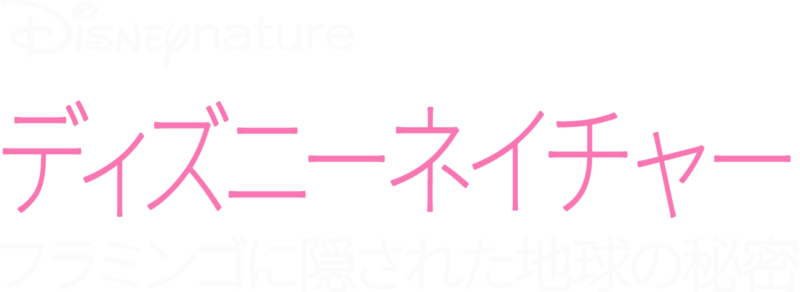 フラミンゴに隠された地球の秘密