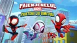 thumbnail - Păienjenelul marvel și prietenii lui uimitori