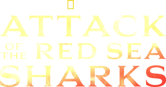Attack of the Red Sea Sharks