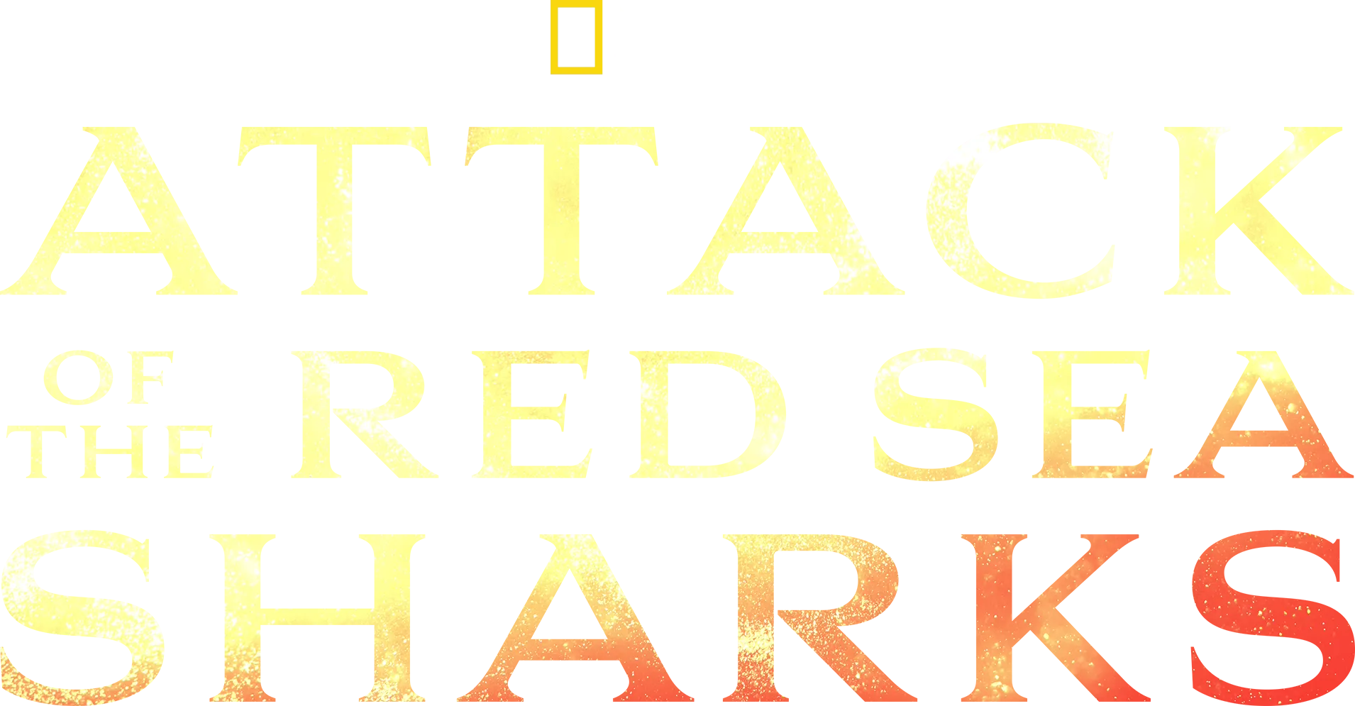 Attack of the Red Sea Sharks