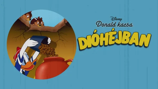 thumbnail - Dióhéjban