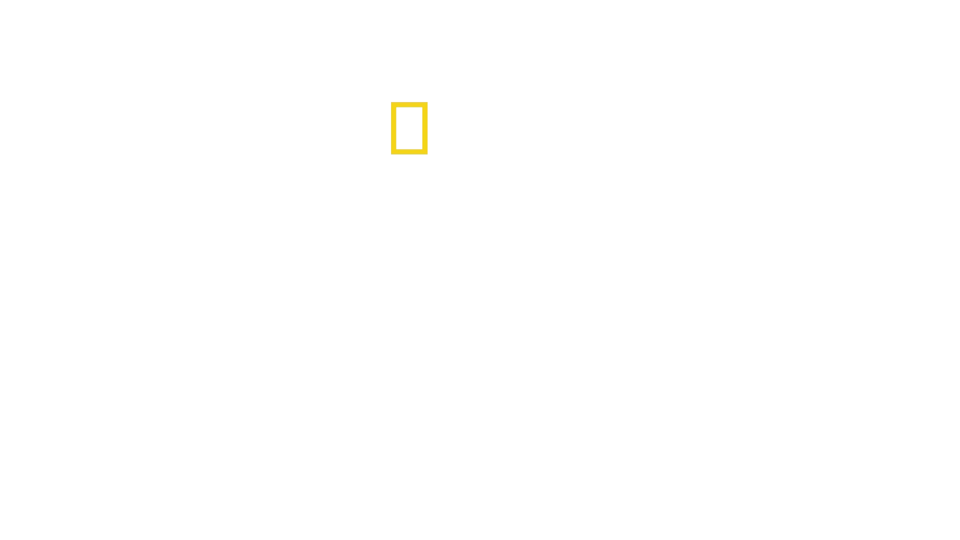 La Revolución del Género