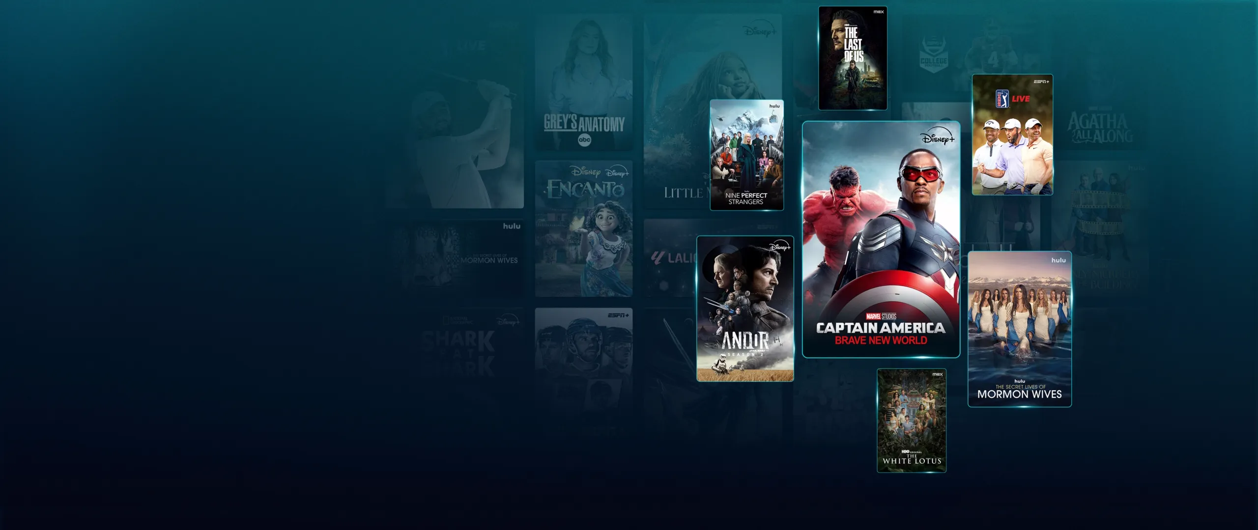 Bundle IP