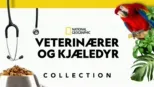 thumbnail - Veterinærer og kjæledyr