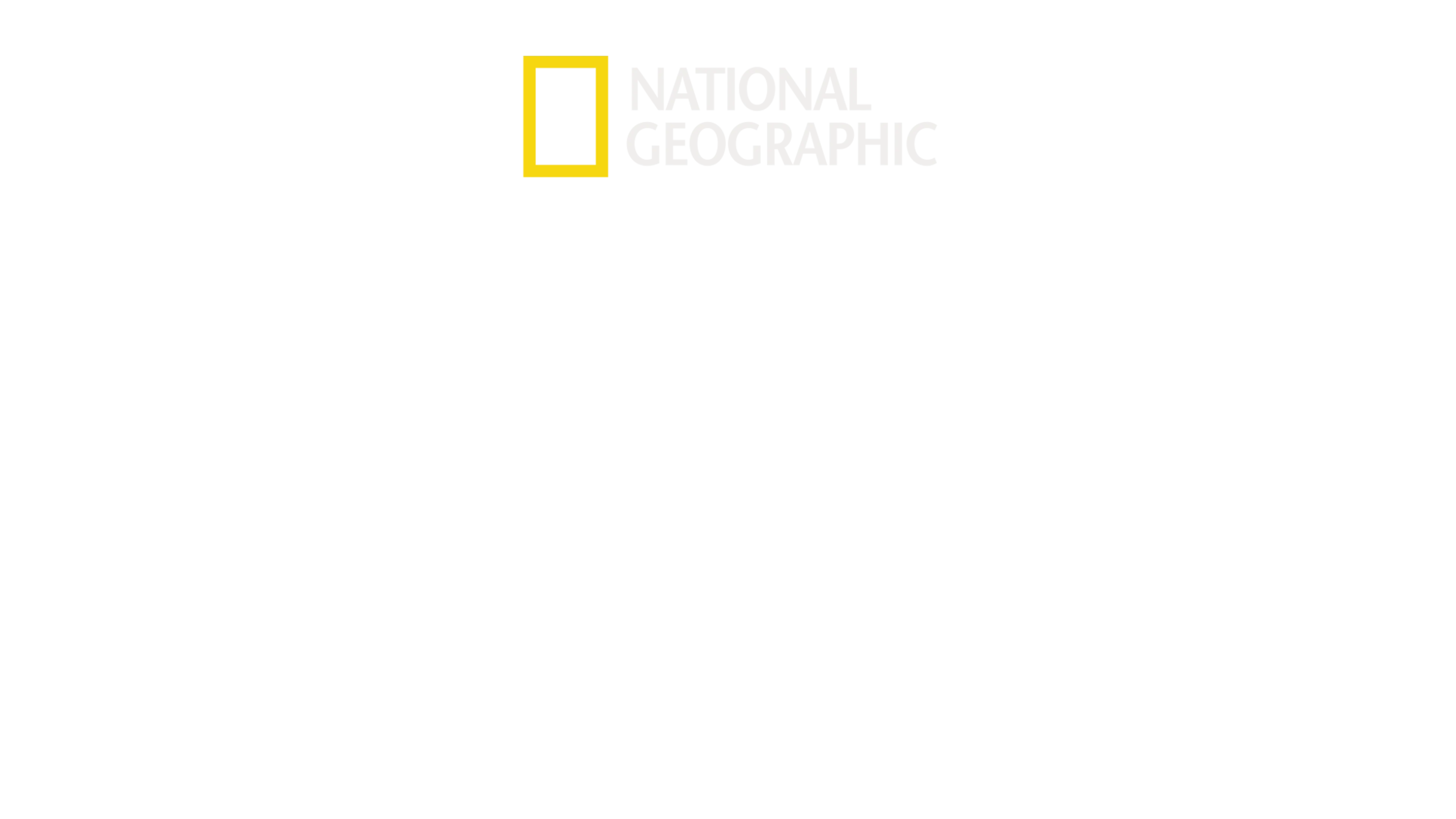 크리터 픽서 동물병원