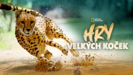 thumbnail - Hry velkých koček