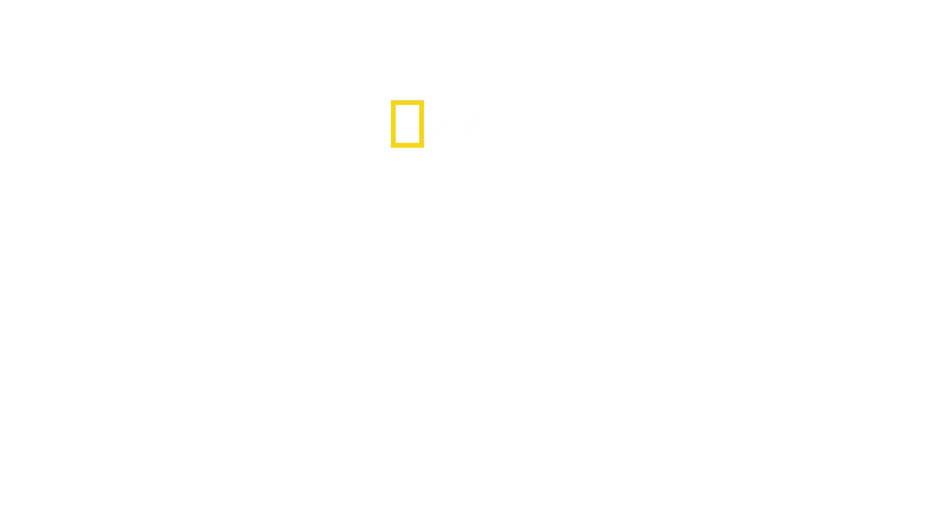 Oro blu: il potere dell'acqua