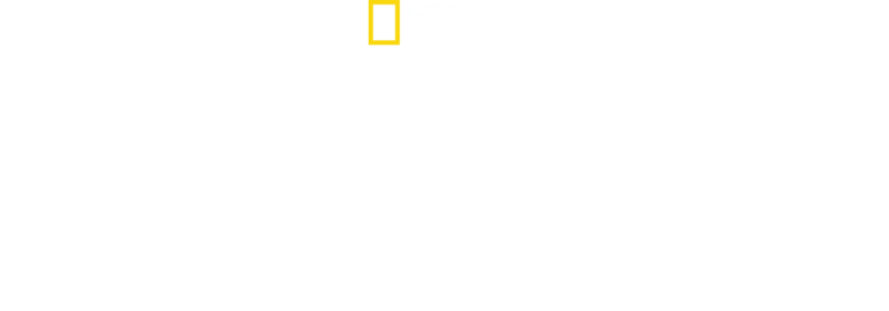 Oro blu: il potere dell'acqua